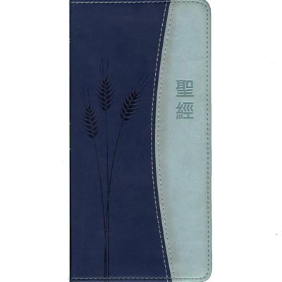 2-Tone Blue Pocket Bible